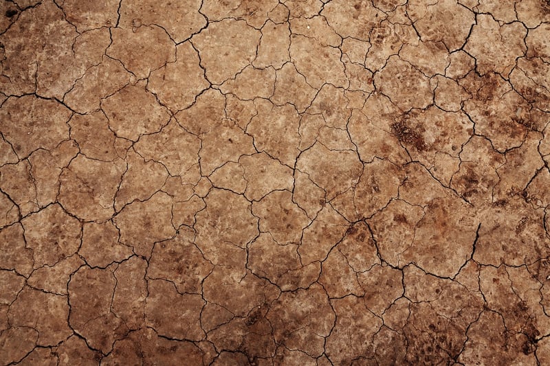 Healthy soil